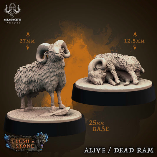 Sheep ( Scenery / Prop ) Alive