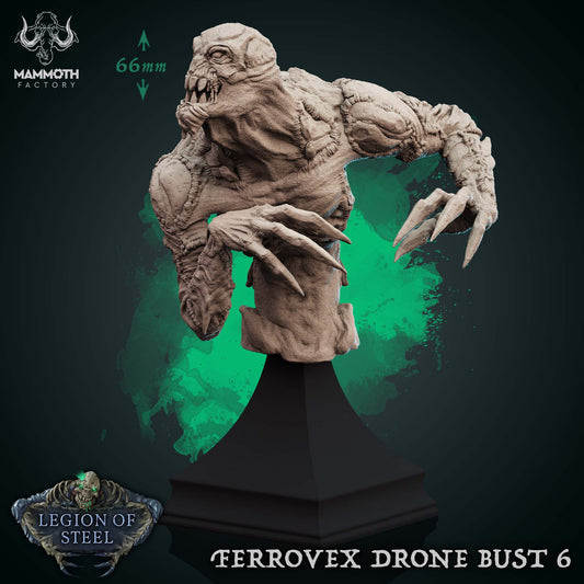 Ferrovex Drone ( Bust )