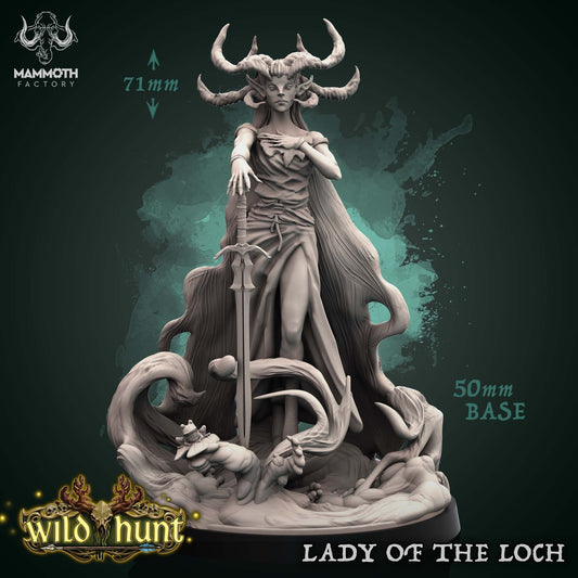 Elf Druid ( Boss / Enemy ) Lady of the Loch