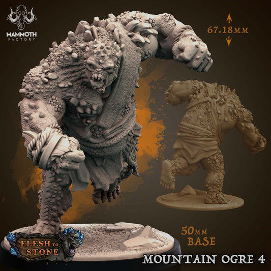 Mountain Ogre 4 ( Monster )