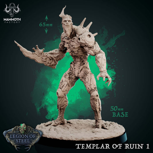 Templar of Ruin ( Monster / NPC )