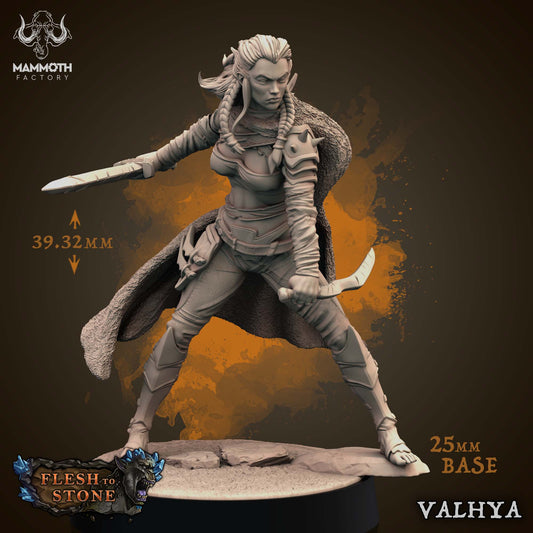 Female Rogue ( Human / Hero ) Valhya