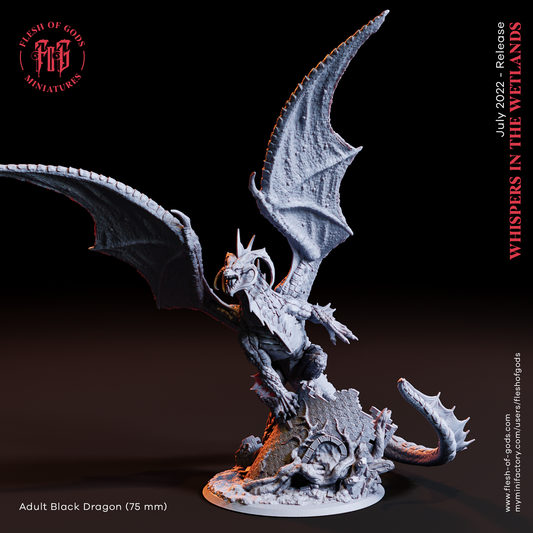 Adult Black Dragon (Dragon / Enemy)