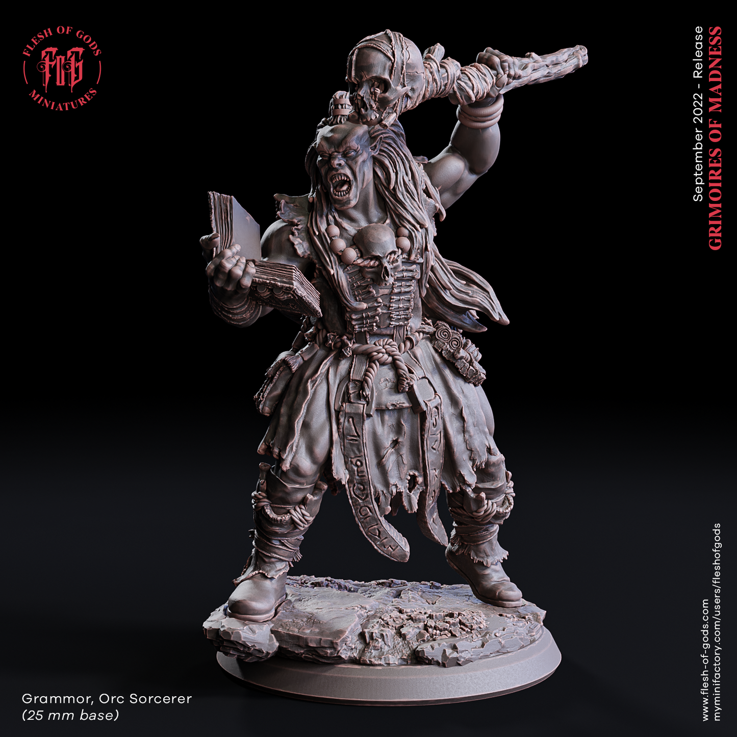 Orc Sorcerer ( Orc / Enemy )