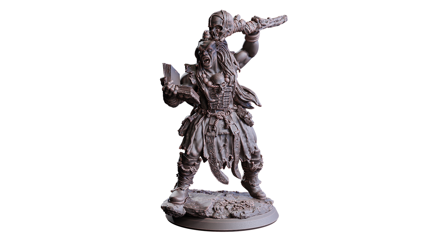 Orc Sorcerer ( Orc / Enemy )